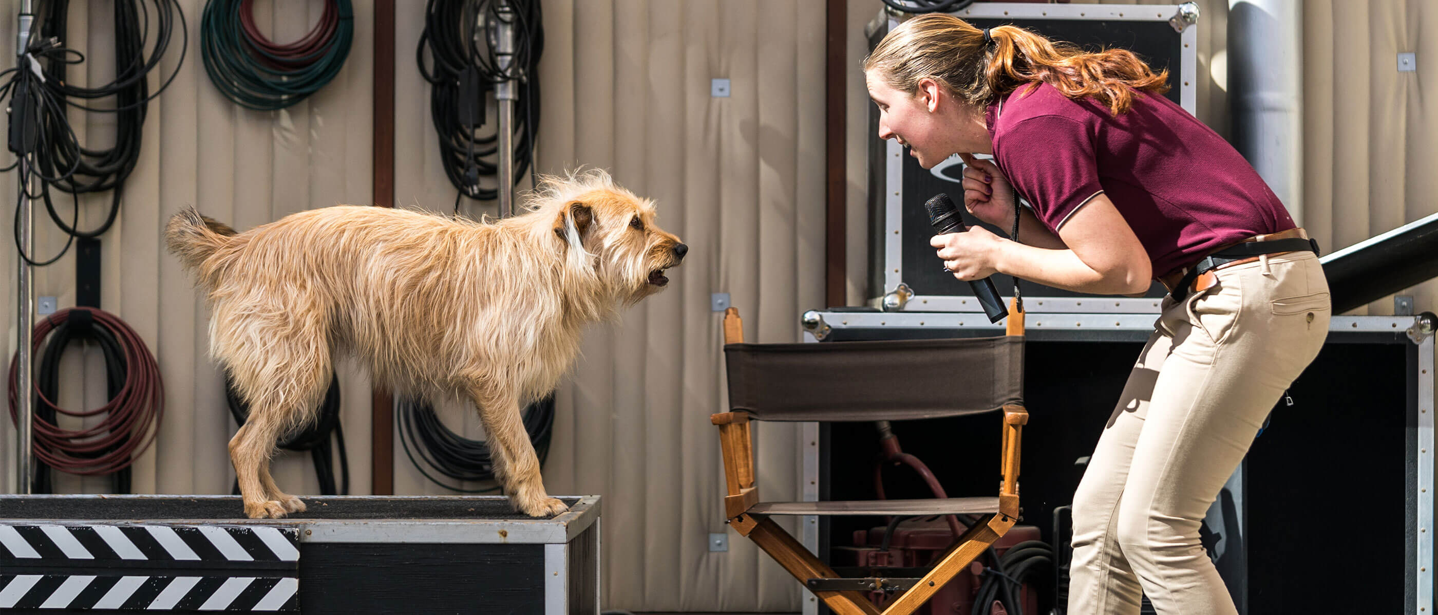 A woman bent over playing with a dog.