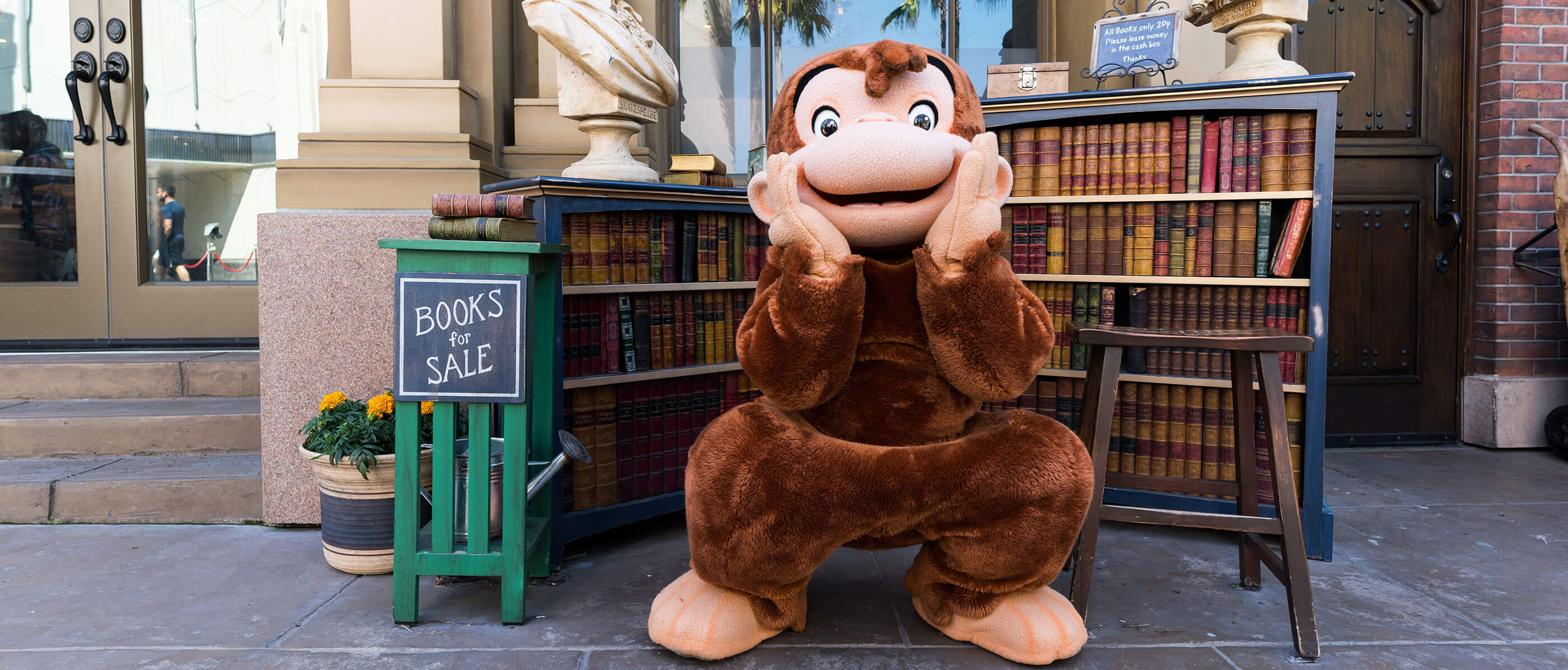 A monkey squatting in front of a book case.