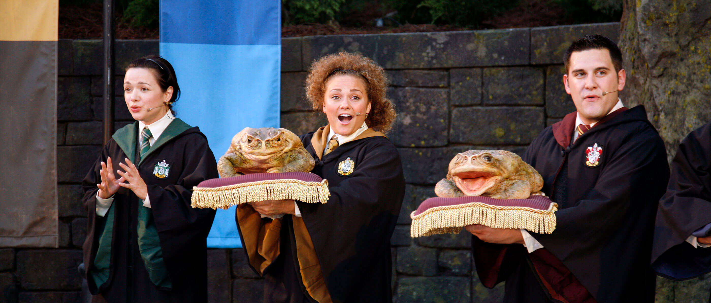 Three people dressed up as Harry Potter characters holding large frog props.