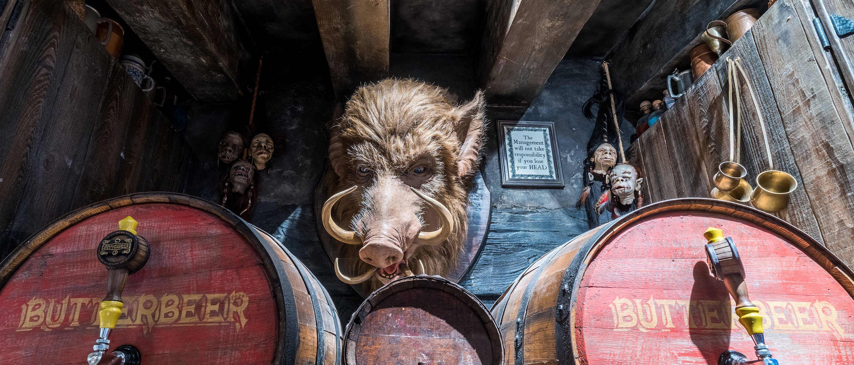 A Harry Potter themed bar with a Hog head on the wall and to beer barrels.
