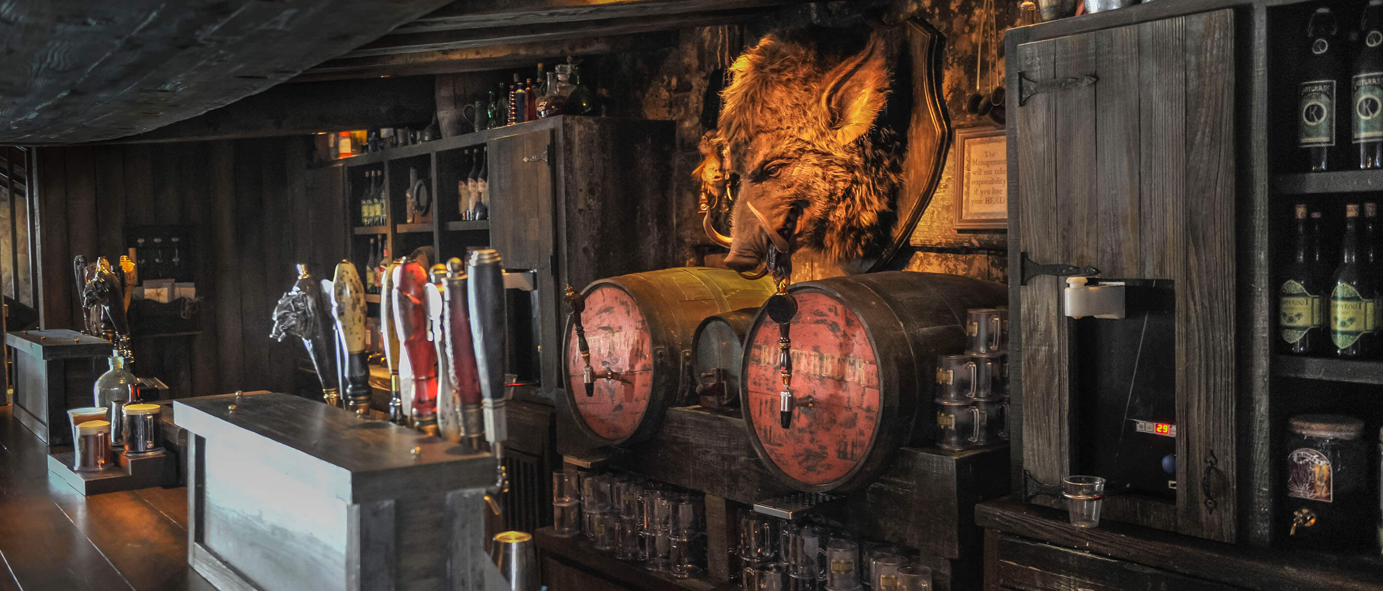 Harry Potter themed bar with a Hog head on the wall and to beer barrels.
