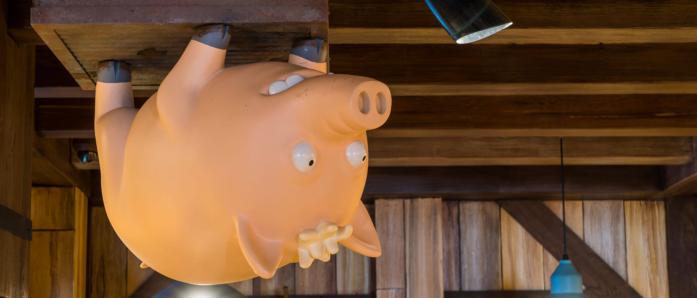 A pig on a wooden ceiling.