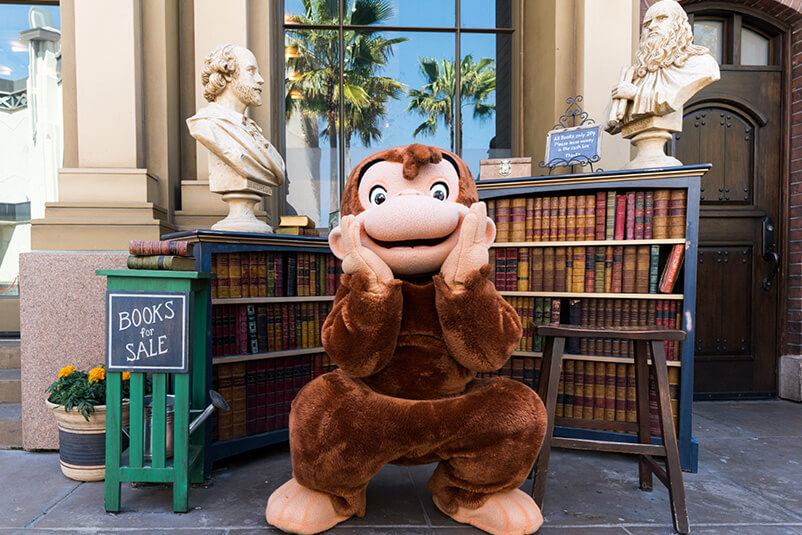 Monkey squatting in front of a book case.