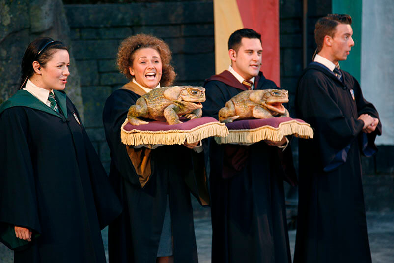 People holding frogs on pillows while singing in the Potter Frog Choir.
