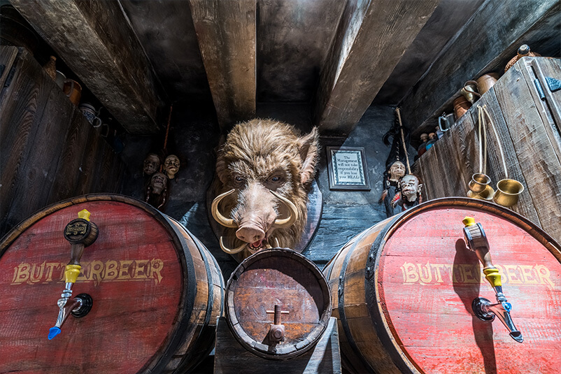 Harry Potter themed bar with a Hog head on the wall and to beer barrels.