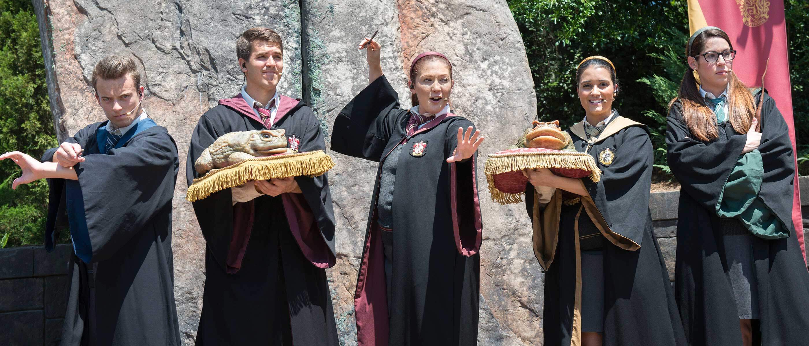 A group of five people perform at the Harry Potter Frog Choir.