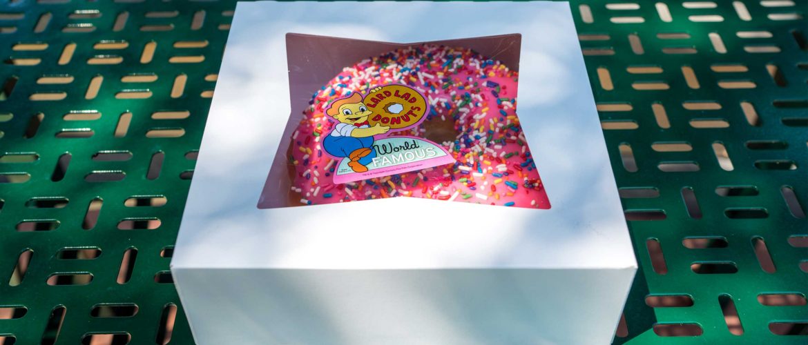 Big Pink Sprinkled Donut in a White box