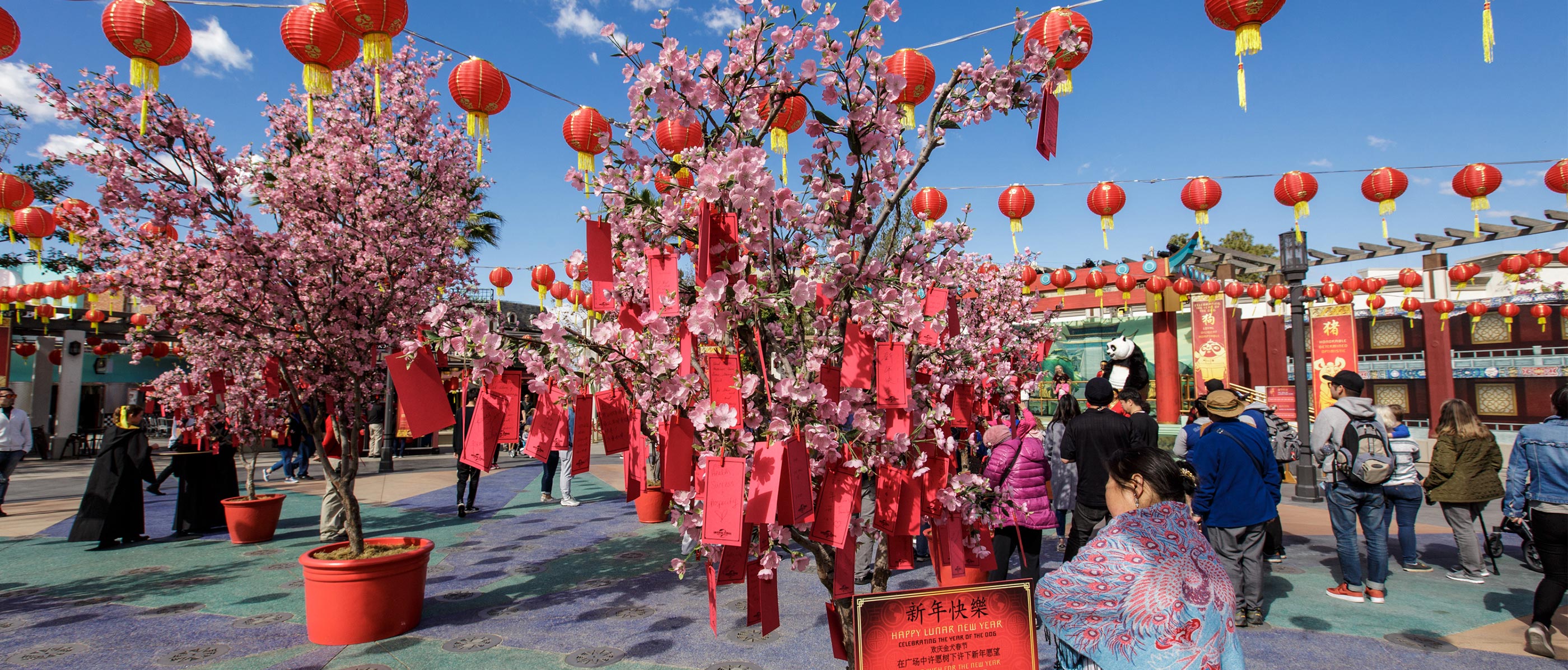 Cherry Blossom Trees with wishes in them