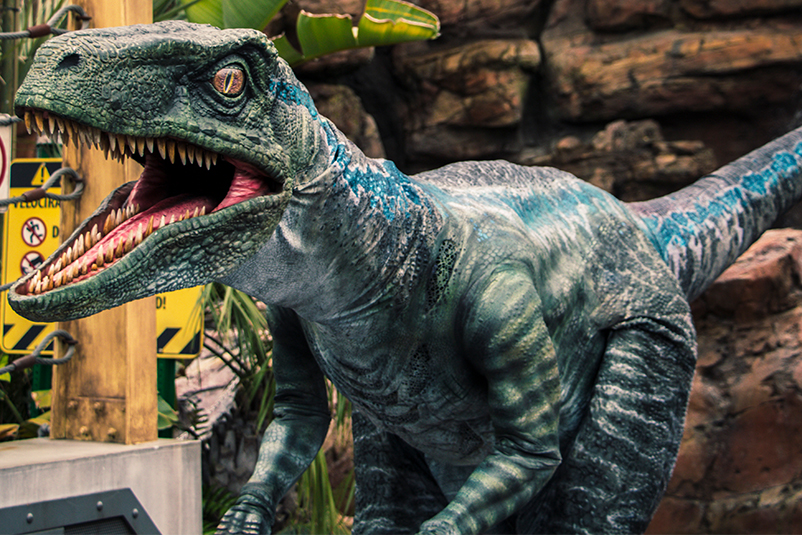 Blue the Raptor at Universal Studios Hollywood