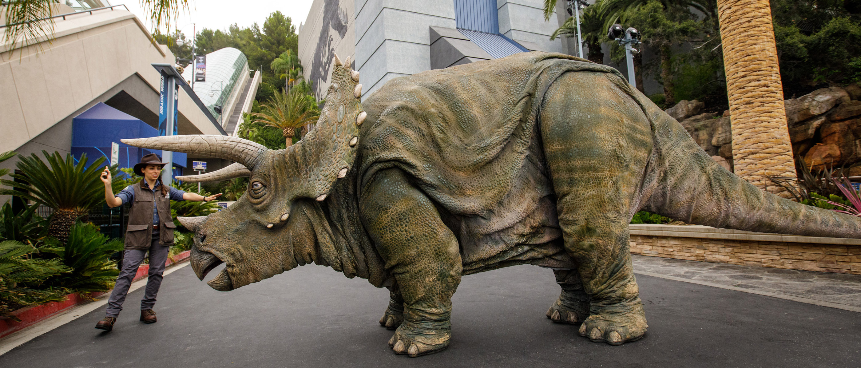 Triceratops outside of Jurassic World