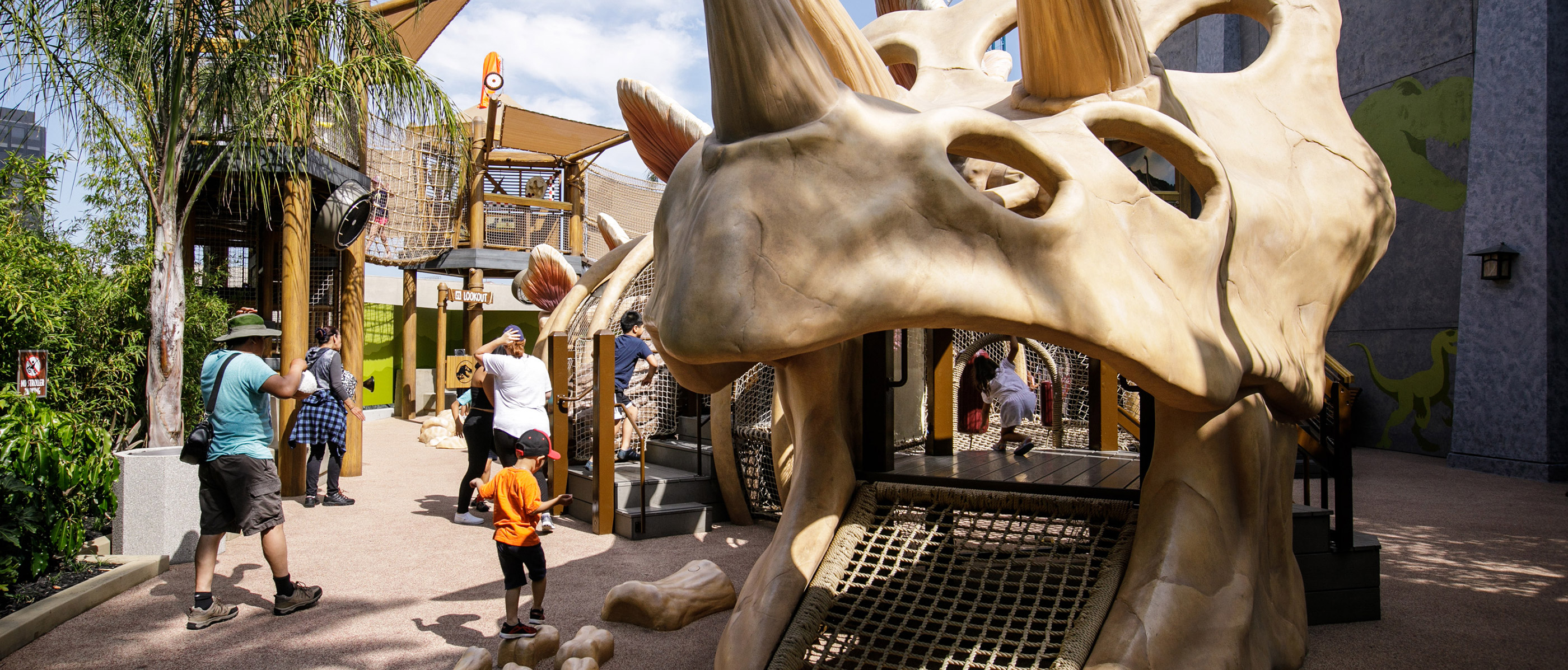 DinoPlay Area